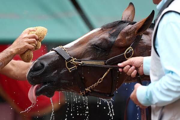 Preakness 2024: What time, who is running and could there be a Triple Crown winner?