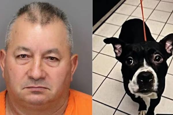 Man arrested after newly adopted dog found decapitated