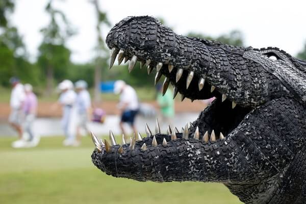 9-foot gator lunges and bites Florida farm worker picking peppers