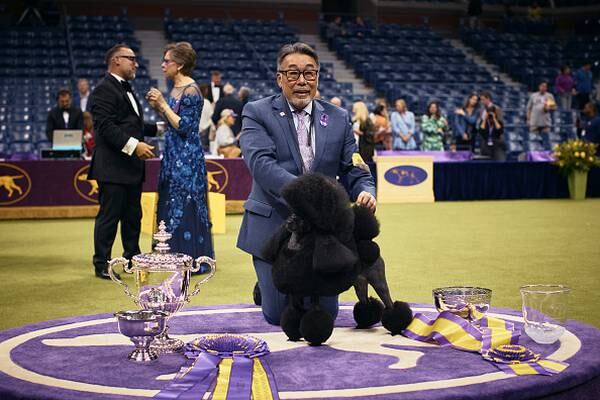 Photos: Westminster Kennel Club names Best in Show